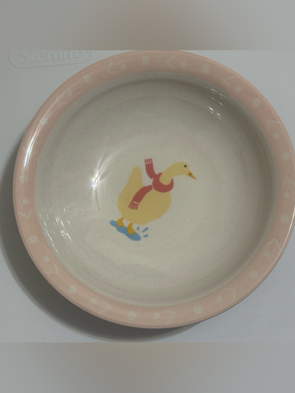 Threshold Pink and Cream Duck Ceramic Bowl, 2 Salad Plates